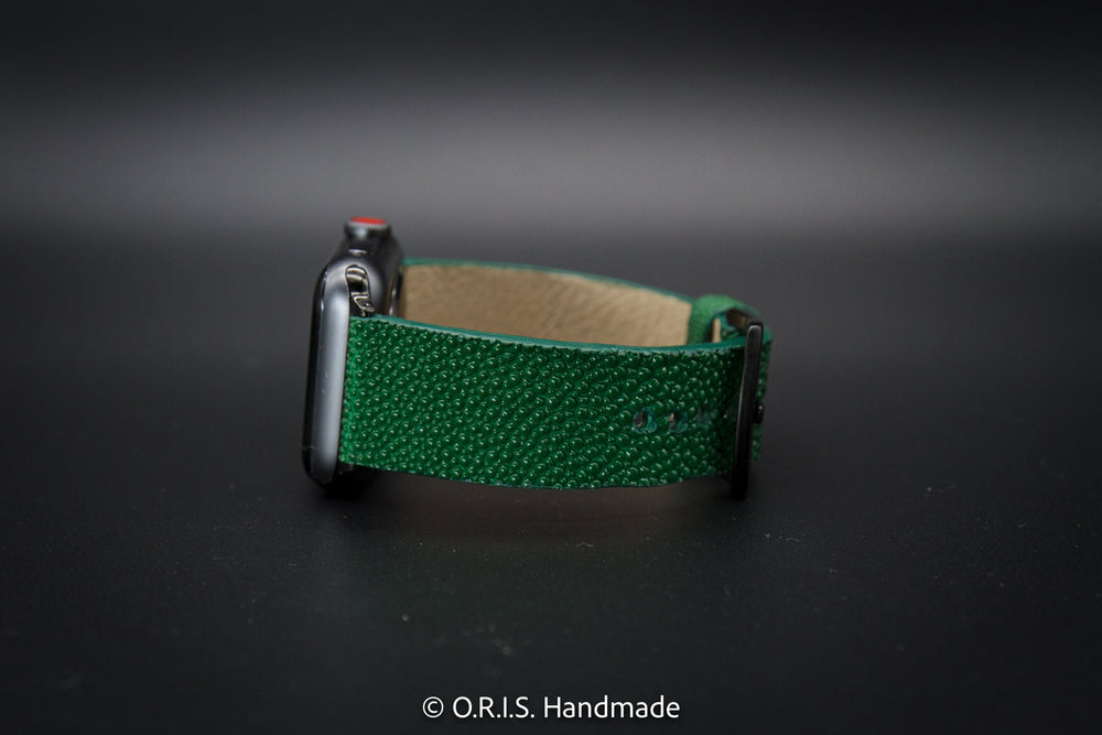 
                  
                    Stingray Leather Apple Watch Band - Green
                  
                